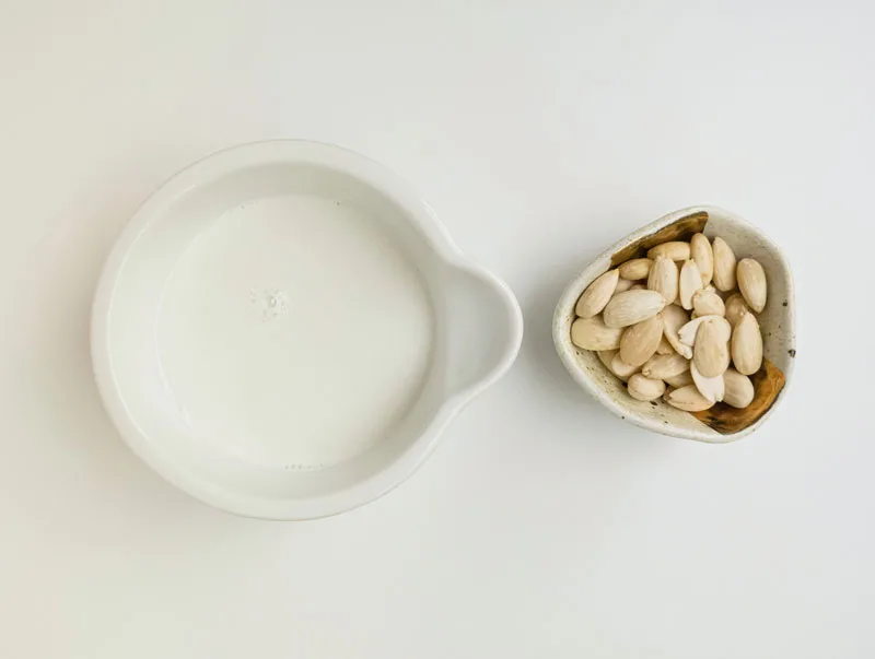 Le proteine vegetali fanno esplodere il mercato delle bevande nutrizionali e il mercato delle proteine vegetali ha un brillante futuro 1 organic plant protein jpg