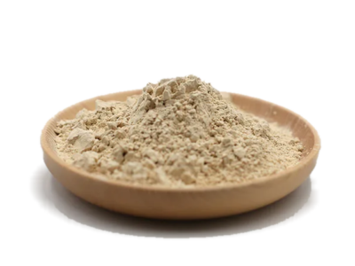 Organic Rice Protein Isolate Powder